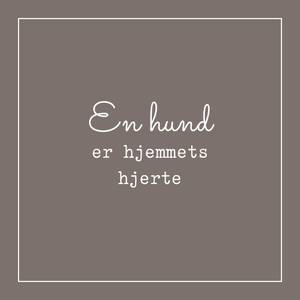 Bilde av 48 stk Kort | En hund er hjemmets hjerte | Brun | 