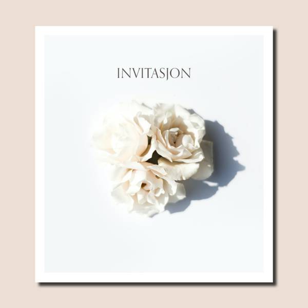 6 stk | Invitasjon | Hvite roser